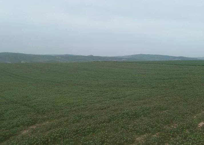 Agricultural land 1 in Beja for sale